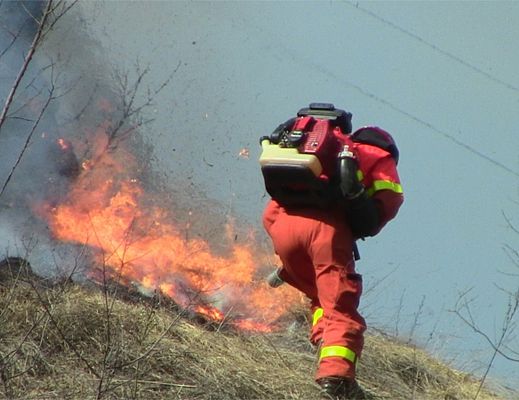 18072015 vigili del fuoco in azione
