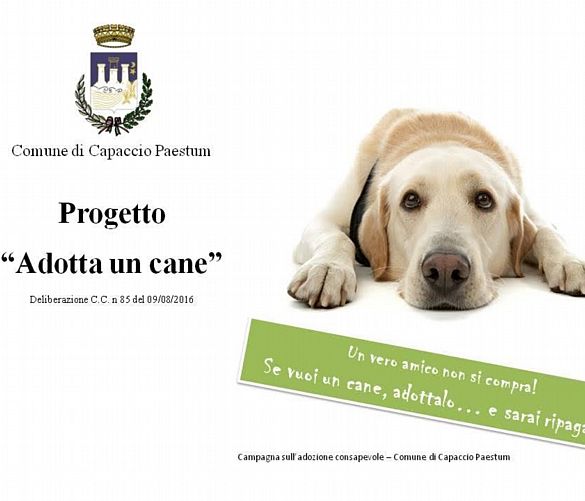 18102016 adotta un cane