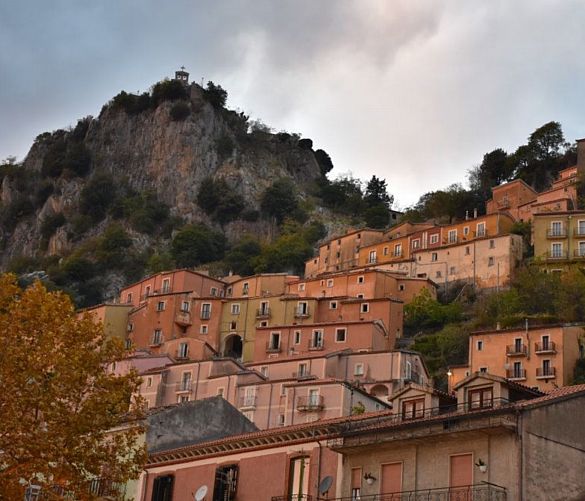18102021 tartufo di colliano