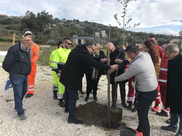 festa dell albero agropoli