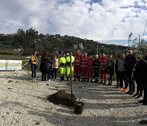 18112018 festa albero agropoli