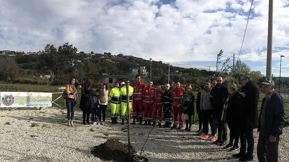 18112018 festa albero agropoli