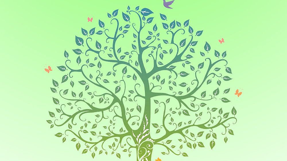 18112022 festa dellalbero