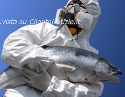 19012013 salmone frankenstein