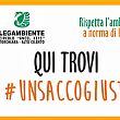 Ambiente foto - 19012018 Qui trovi unsaccogiusto