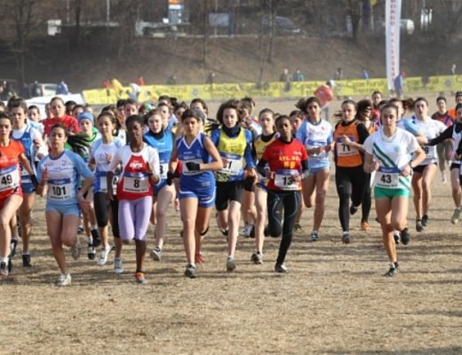 19022013 campestre top