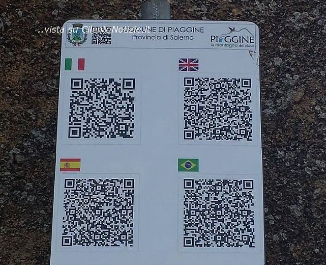 19022015 qr code piaggine