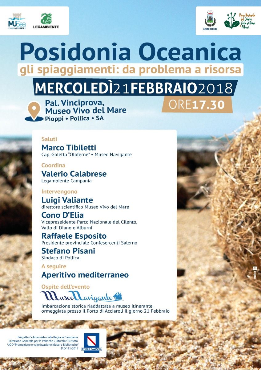 posidonia oceanica locandina