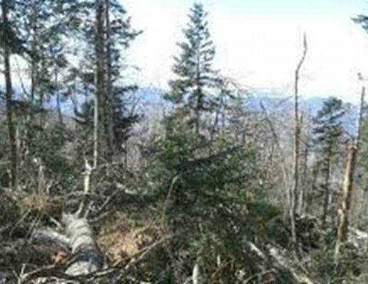 Paolo-Abbate foto - 19032015 art abbate 01