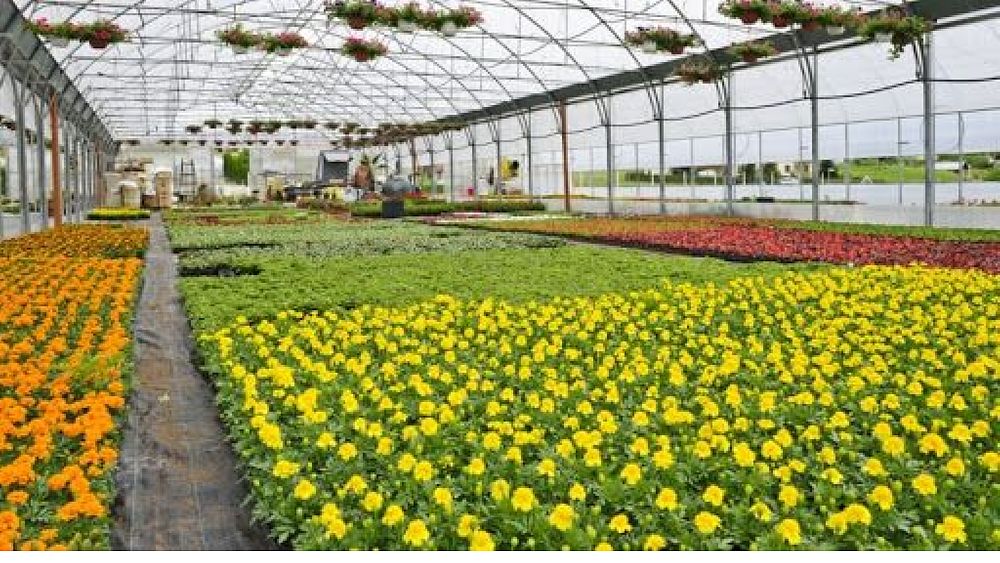 19032020 Florovivaisti