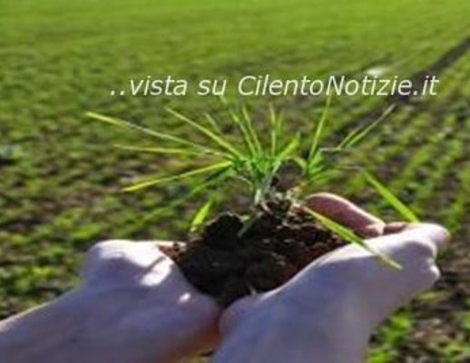 19042013 marcia per la terra