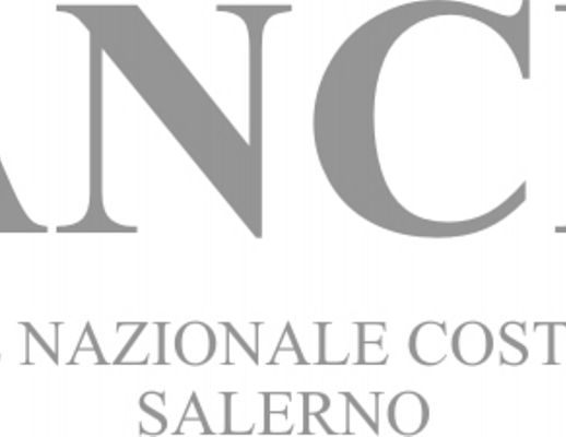 19042014 ance salerno