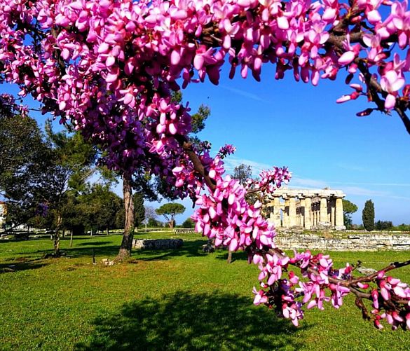 19042019 Pasqua a Paestum Foto di Maria Maiorano