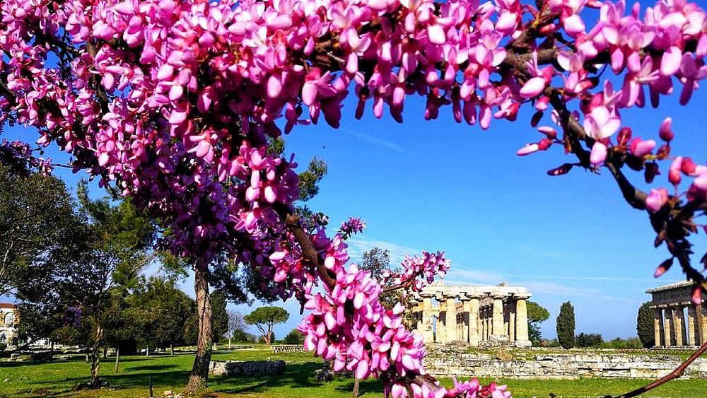 19042019 Pasqua a Paestum Foto di Maria Maiorano