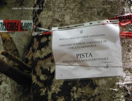 19052015 sequestro forestale