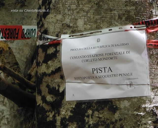 19052015 sequestro forestale