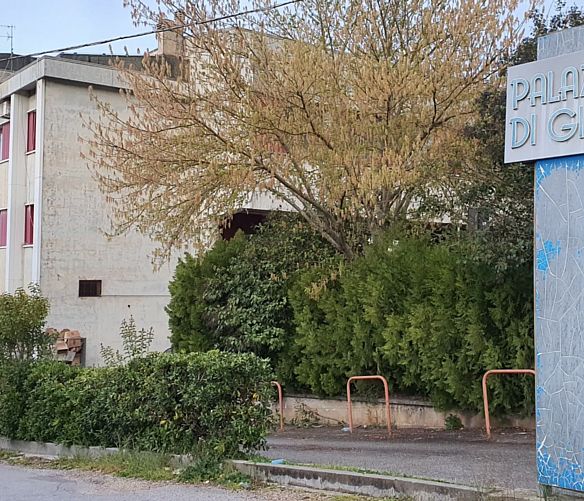 19052023 tribunale di sala consilina