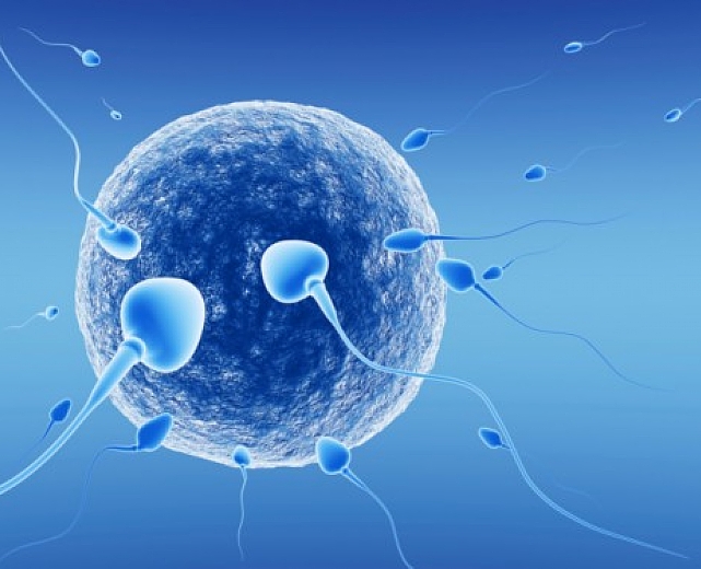 19062013 infertilita maschile