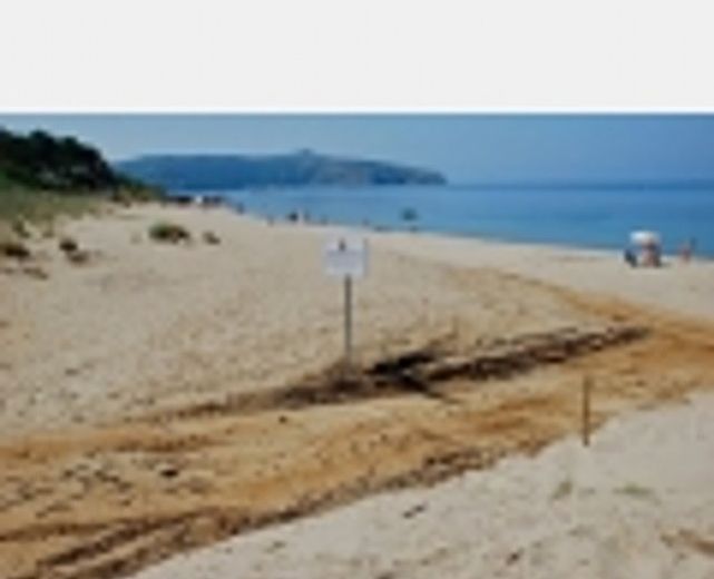 19062014 ruspe saline palinuro