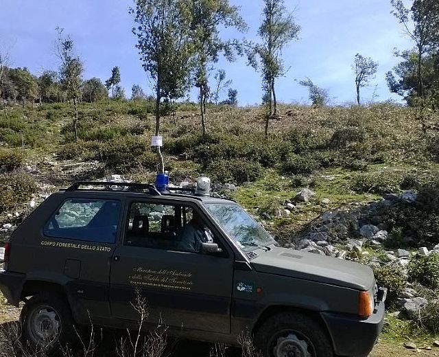 19062015 controlli forestale nel Cilento