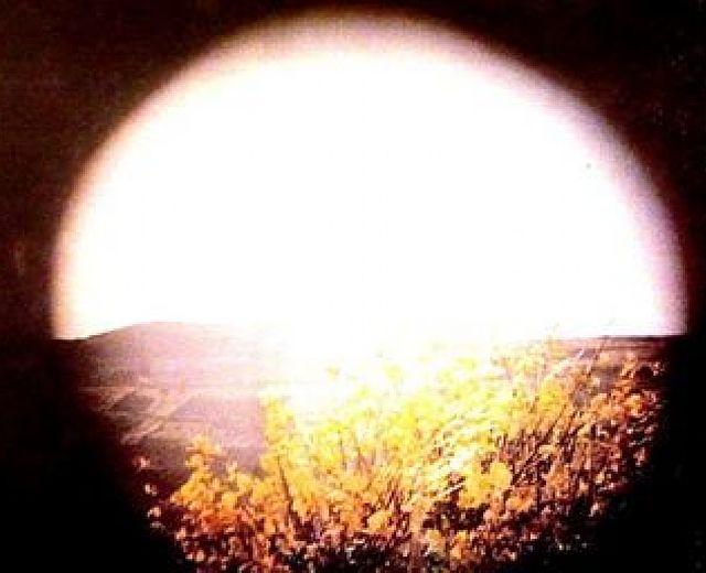 19062015 opera di silvana paoletti 19062015 opera di silvana paoletti