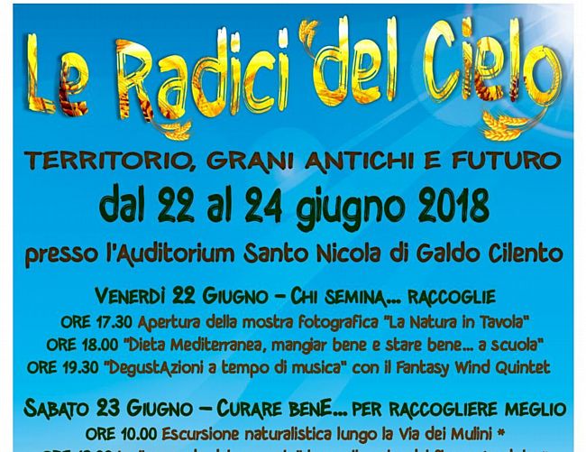 19062018 Le radici del cielo