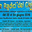 Cilento - Le ultime  Notizie foto - 19062018 Le radici del cielo