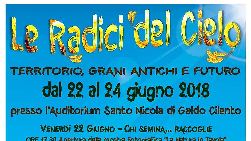 19062018 Le radici del cielo
