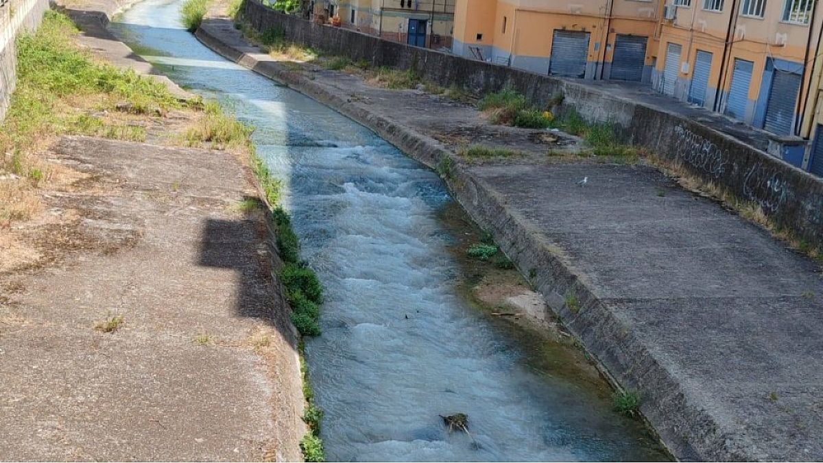 19062025 foto web cin aljf 19062025 foto web cin aljf