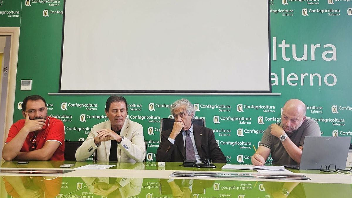 19062025 incontro battipaglia 19062025 incontro battipaglia