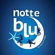 Castellabate Notizie foto - 19072016 notte blu castellabate