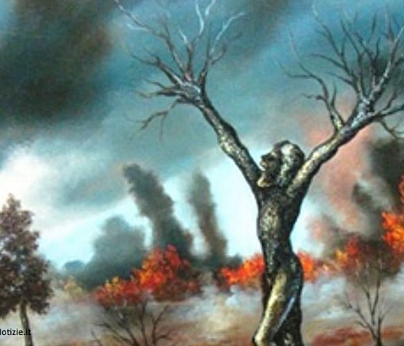 Marisa-Russo foto - 19072017 mostra ulivo dopo incendio 2