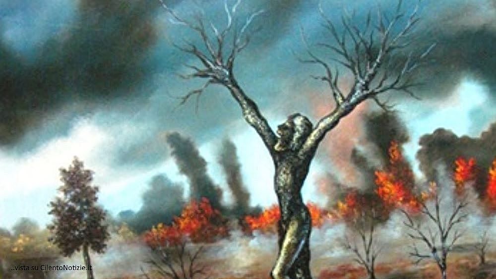 19072017 mostra ulivo dopo incendio 2 19072017 mostra ulivo dopo incendio 2