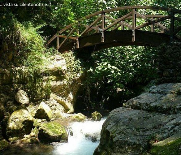 19072017 oasi wwf di morigerati
