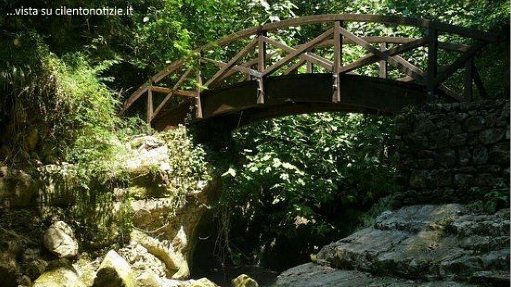 19072017 oasi wwf di morigerati