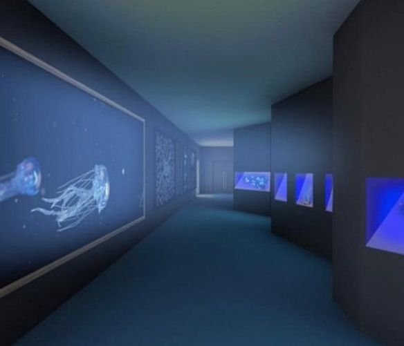 19072021 acquario virtuale