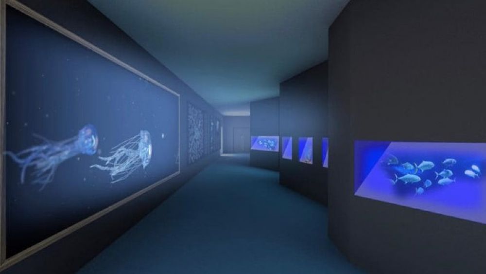 19072021 acquario virtuale