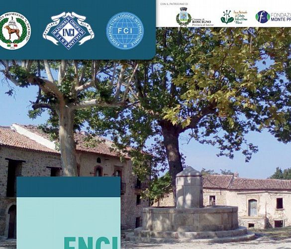 19072024 enci village cilento
