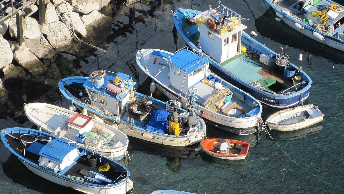 19072024 pescherecci 19072024 pescherecci