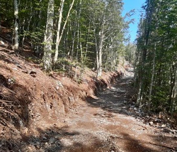 19082020 strada tortorella