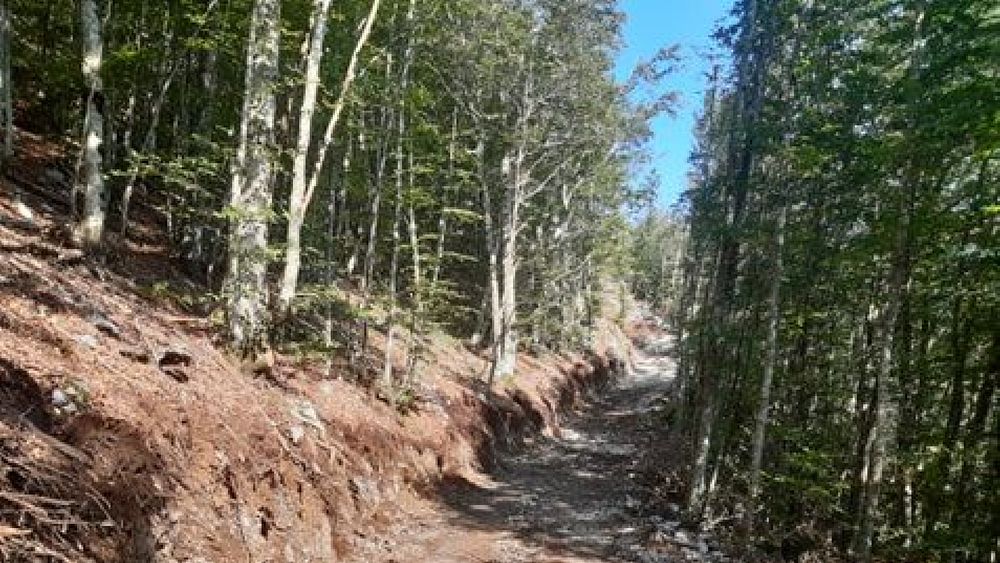 19082020 strada tortorella