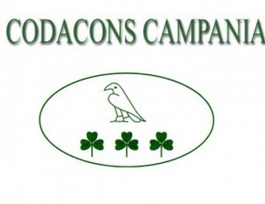 19092014 codacons