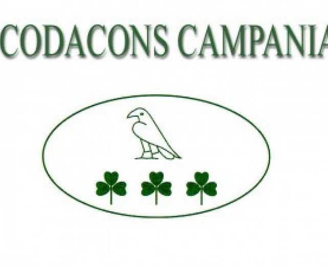 19092014 codacons