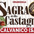 Spettacoli-eventi foto - 19092018 sagra castagna
