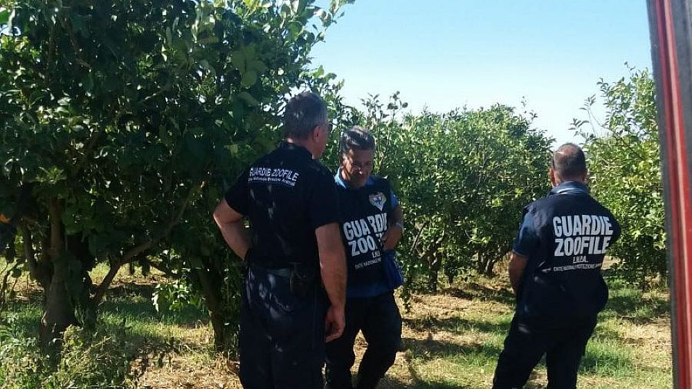 19092019 guardie enpa