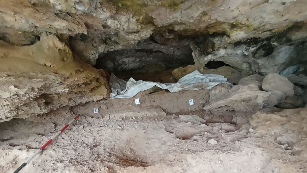 19092022 elefanti a camerota 140kanni fa 19092022 elefanti a camerota 140kanni fa