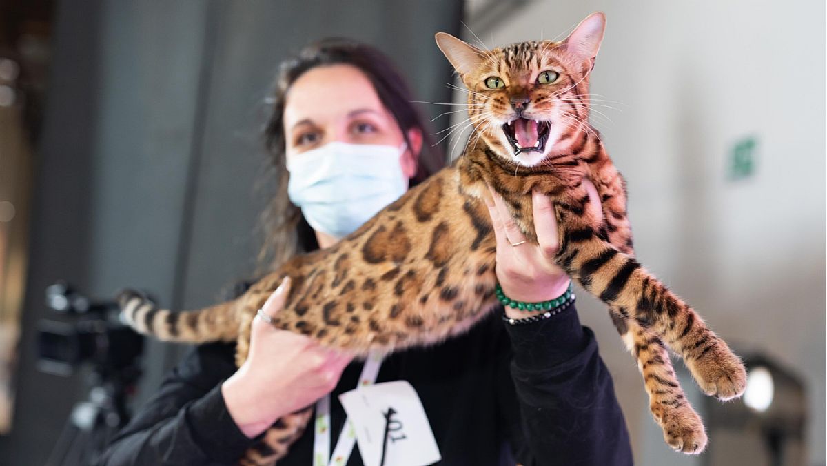 19092023 expo 5 19092023 expo 5