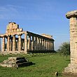 Economia foto - 19102012 templi di paestum