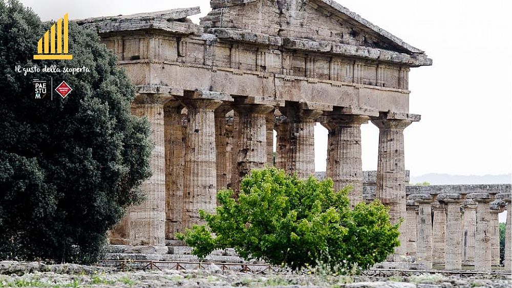 19102016 scavi paestum diretta social