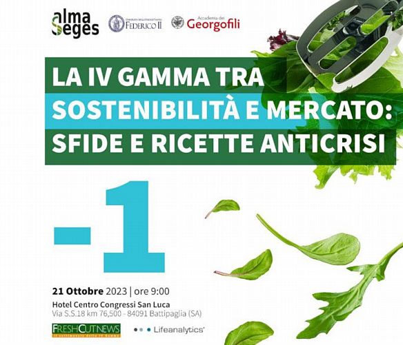 19102023 convegno iv gamma